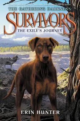Přeživší: The Gathering Darkness: The Exile's Journey - Survivors: The Gathering Darkness: The Exile's Journey
