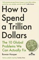 Jak utratit bilion dolarů - 10 globálních problémů, které můžeme skutečně vyřešit - How to Spend a Trillion Dollars - The 10 Global Problems We Can Actually Fix