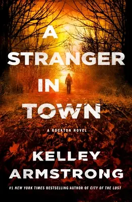 Cizinec ve městě: Rocktonský román - A Stranger in Town: A Rockton Novel