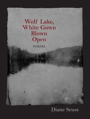 Vlčí jezero, Bílé roucho rozevřené: Básně - Wolf Lake, White Gown Blown Open: Poems