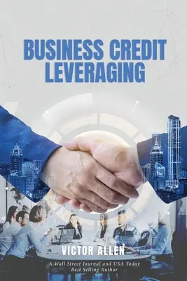 Využití podnikatelských úvěrů - Business Credit Leveraging