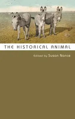 Historické zvíře - The Historical Animal
