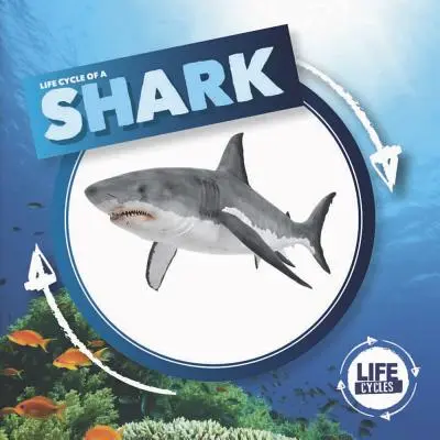 Žralok - Shark