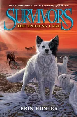 Trosečníci #5: Nekonečné jezero - Survivors #5: The Endless Lake