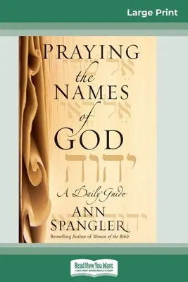 Modlitba Božích jmen (16pt Large Print Edition) - Praying the Names of God (16pt Large Print Edition)