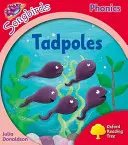 Oxford Reading Tree: Songbirds Phonics: Zpěvní ptáčci: Level 4: Tadpoles - Oxford Reading Tree Songbirds Phonics: Level 4: Tadpoles