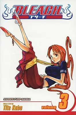 Bleach, svazek 3 - Bleach, Volume 3