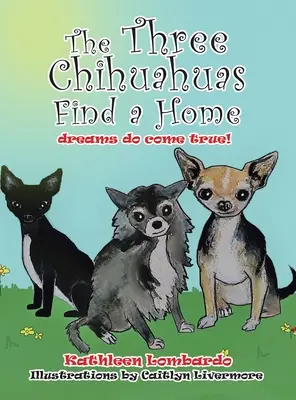 Tři čivavy našly domov - The Three Chihuahuas Find a Home