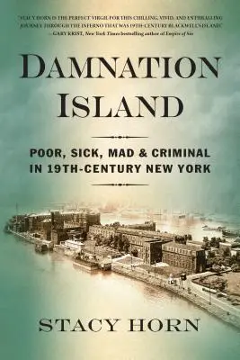 Ostrov prokletí: Chudí, nemocní, šílení a zločinci v New Yorku 19. století - Damnation Island: Poor, Sick, Mad, and Criminal in 19th-Century New York