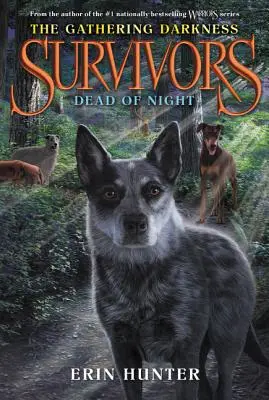 Trosečníci: The Gathering Darkness #2: Dead of Night (Mrtvá noc) - Survivors: The Gathering Darkness #2: Dead of Night