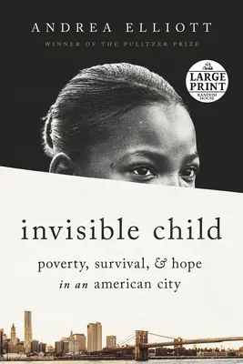 Neviditelné dítě: Neviditelné dítě: chudoba, přežití a naděje v americkém městě - Invisible Child: Poverty, Survival & Hope in an American City