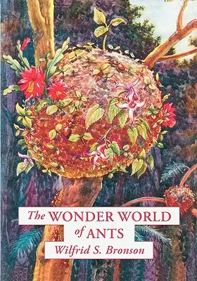 Zázračný svět mravenců - The Wonder World of Ants