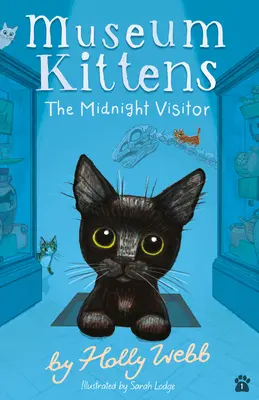 Půlnoční návštěvník - The Midnight Visitor