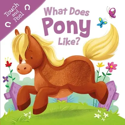 Co má rád poník?: Jaký je Pony: Dotyková a hmatová desková knížka (Touch & Feel Board Book) - What Does Pony Like?: Touch & Feel Board Book