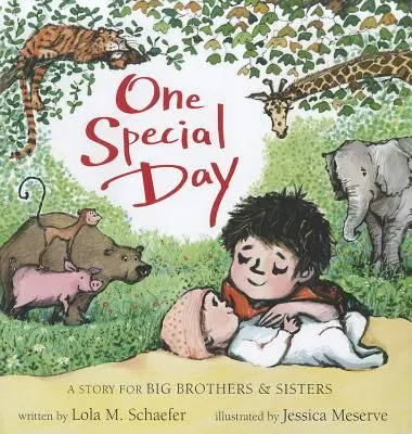 Jeden výjimečný den: Příběh pro velké bratry a sestry - One Special Day: A Story for Big Brothers and Sisters