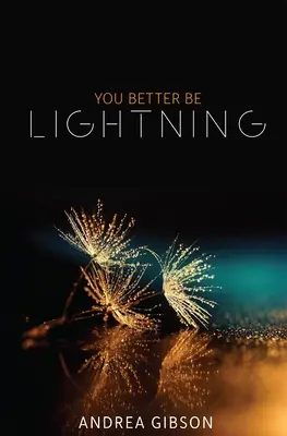 Radši ať se blýská na lepší časy - You Better Be Lightning
