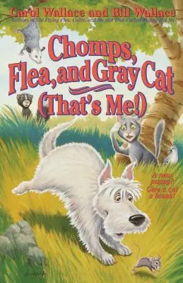 Chomps, Blecha a Šedá kočka (to jsem já!) - Chomps, Flea, and Gray Cat (That's Me!)
