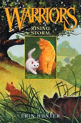 Stoupající bouře - Rising Storm