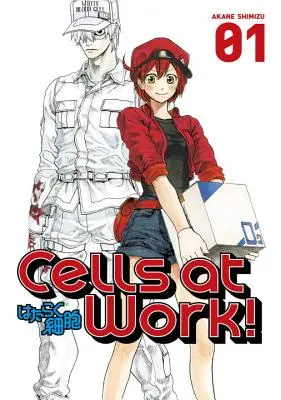Buňky v práci!, 1. díl - Cells at Work!, Volume 1