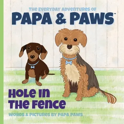 Díra v plotě - Hole in the Fence