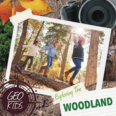 Zkoumání lesního prostředí - Exploring the Woodland