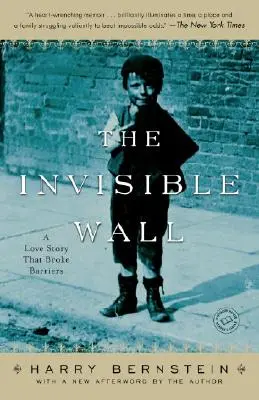 Neviditelná zeď: Příběh lásky, která prolomila bariéry - The Invisible Wall: A Love Story That Broke Barriers