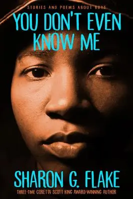 Ani mě neznáte: Příběhy a básně o chlapcích - You Don't Even Know Me: Stories and Poems about Boys
