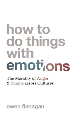 Jak dělat věci s emocemi: Morálka hněvu a studu napříč kulturami - How to Do Things with Emotions: The Morality of Anger and Shame Across Cultures