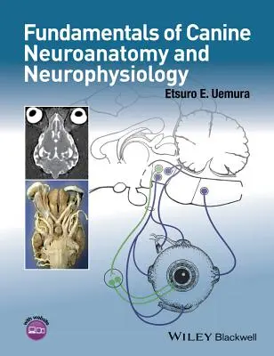 Základy neuroanatomie a neurofyziologie psů - Fundamentals of Canine Neuroanatomy and Neurophysiology