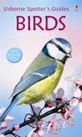 Ptáci - Birds