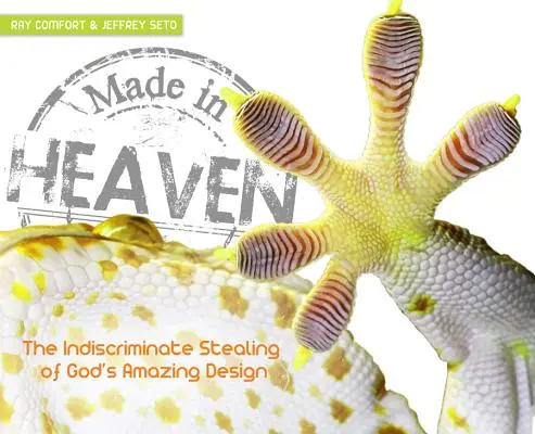 Stvořeni v nebi: Člověk nevybíravým způsobem krade úžasný Boží plán - Made in Heaven: Man's Indiscriminate Stealing of God's Amazing Design