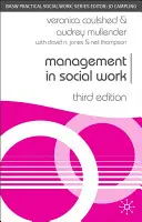 Management v sociální práci - Management in Social Work