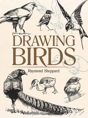 Kreslení ptáků - Drawing Birds