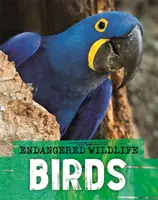 Ohrožená divoká zvířata: Záchrana ptáků - Endangered Wildlife: Rescuing Birds