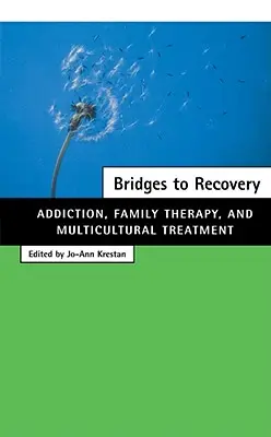Mosty k obnově: Závislost, rodinná terapie a multikulturní léčba - Bridges to Recovery: Addiction, Family Therapy, and Multicultural Treatment