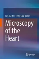 Mikroskopie srdce - Microscopy of the Heart