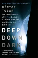 Hluboko v temnotě: Nevyřčené příběhy 33 mužů pohřbených v chilském dole a zázrak, který je osvobodil - Deep Down Dark: The Untold Stories of 33 Men Buried in a Chilean Mine, and the Miracle that Set them Free