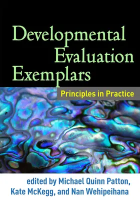 Příklady vývojového hodnocení: Zásady v praxi - Developmental Evaluation Exemplars: Principles in Practice