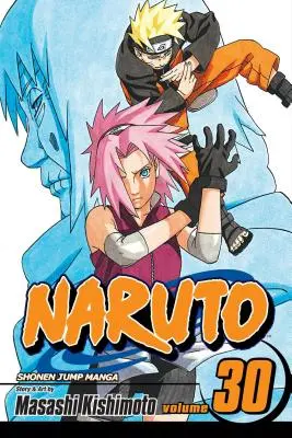 Naruto, svazek 30, 30 - Naruto, Vol. 30, 30