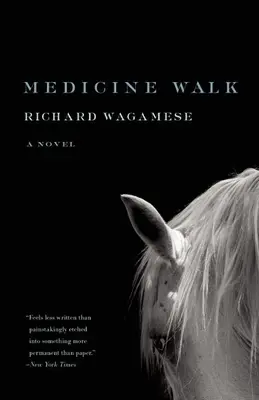 Medicínská procházka - Medicine Walk