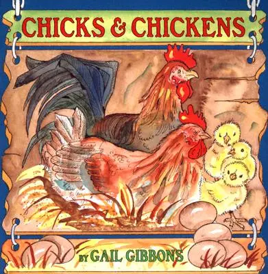 Kuřata a slepice - Chicks & Chickens