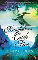 Kingfishers Catch Fire - Moderní klasika od Viraga - Kingfishers Catch Fire - A Virago Modern Classic
