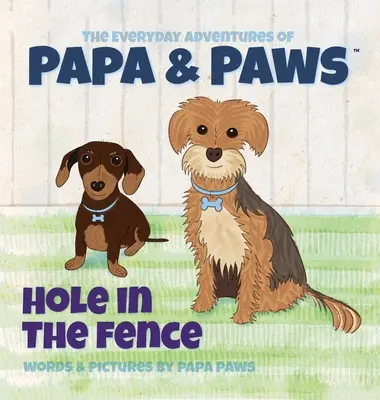 Díra v plotě - Hole in the Fence