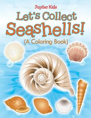 Sbírejme mušle! (Omalovánky) - Let's Collect Seashells! (A Coloring Book)