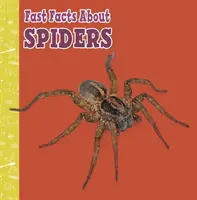 Rychlá fakta o pavoucích - Fast Facts About Spiders