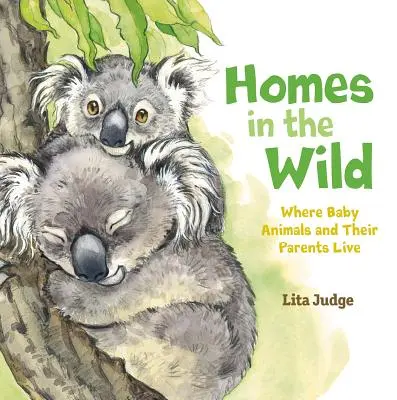 Domovy v divočině: Kde žijí mláďata zvířat a jejich rodiče - Homes in the Wild: Where Baby Animals and Their Parents Live