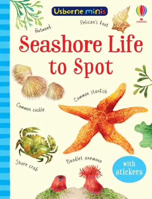 Život na mořském pobřeží - Seashore Life to Spot