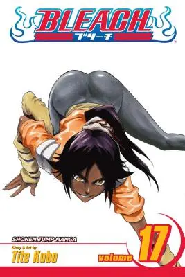 Bleach, svazek 17, 17 - Bleach, Vol. 17, 17