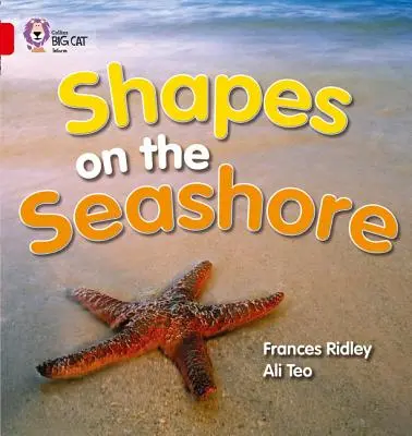 Tvary na břehu moře - Shapes on the Seashore