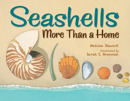Mušle: Více než domov - Seashells: More Than a Home